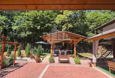 Vila  Frumoasa , Sibiu ,6 camere , 5 Bai , mobilata ,utilata - 54