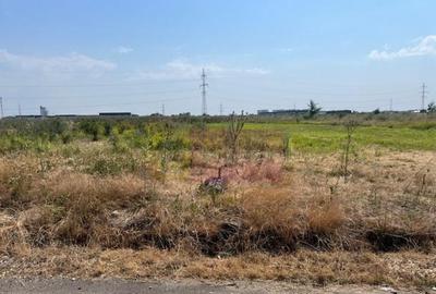 Teren Domnesti- Fortului. - 3