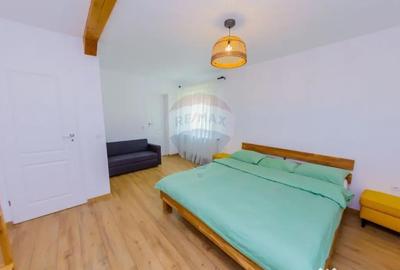 Casă cu 7 camere cu Teren 6370 Mp în Groși - 6