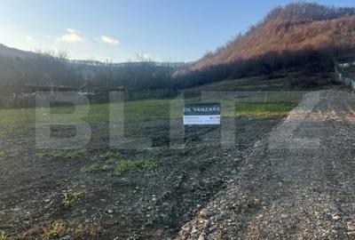 Teren generos 10 Ari, Zona VIlla Franca-ideal constructie casa - 3