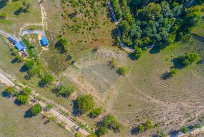 Teren extravilan 6,014mp | Holbav | BRASOV | COMISION 0| - 14