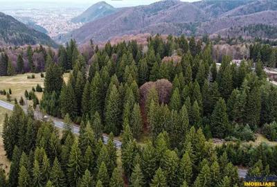 Teren de 1000 mp, în Poiana Brașov - 4