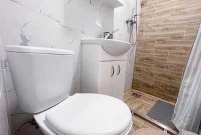 Garsonieră decomandată în Badea Cârțan - 2