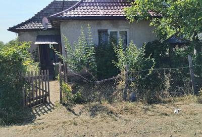 Casă cu 3 camere în Tămășeni - 5
