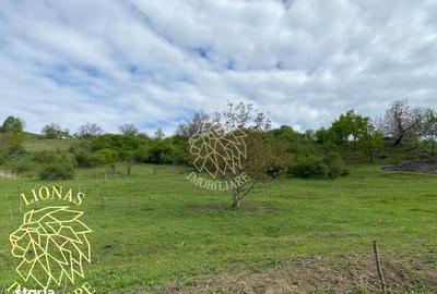 Teren de 5000 mp, în Feldru - 4