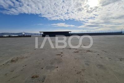 Spatiu industrial de inchiriat in Sebes judetul Alba - 13