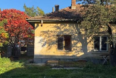 Casă cu 2 camere cu Teren 250 Mp în Central - 10