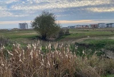 Teren Construcții intravilan de 6900 mp, în Giroc