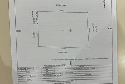 Teren de 6977 mp, în Spineni - 1