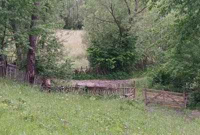 Teren de 2300 mp, în Valea Doftanei - 5