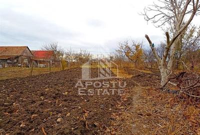 Teren 1000mp Cu Utilitati Dudesti Noi - 3