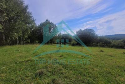 Teren pentru cabana/pensiune zona Lac Micesti! - 2