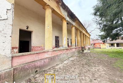 Casă cu Teren 2655 Mp în Târnova - 1