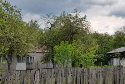 Casă cu 4 camere cu Teren 5574 Mp în Vulcăneasa - 3