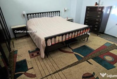 Casă cu 6 camere cu Teren 12500 Mp în Sasca Mică - 9