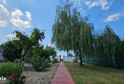 Casă cu 7 camere cu Teren 1300 Mp în Cornetu - 5