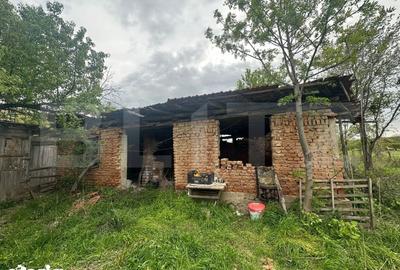 Casă cu 3 camere cu Teren 2077 Mp în Scoarța - 6