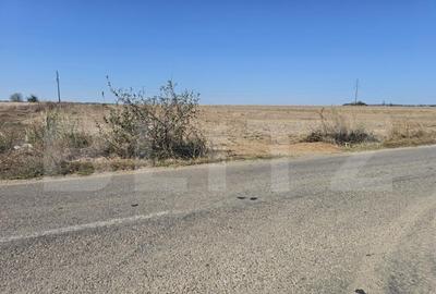 Teren intravilan, 3789 mp parcelabil, zona Isalnita - 3