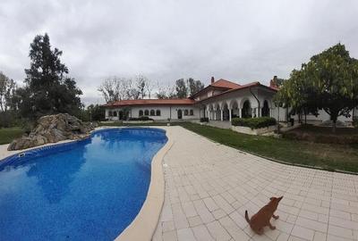 Domeniu  in Prahova- probabil una dintre cele mai frumoase reședințe - 3