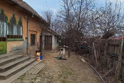 Vand casa in com.Poiana Mare,jud.Dolj - 6