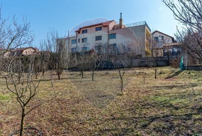 Teren Construcții intravilan de 2491 mp, în Gruia - 7