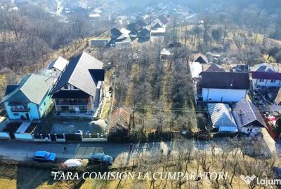 Teren de 1231 mp, în Călimănești - 9