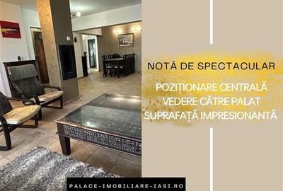 Pozitionare Centrala, Vedere catre Palat, Suprafata Impresionanta - 13