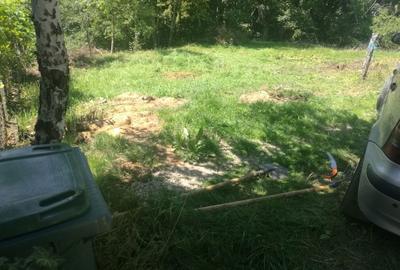 Spațiu comercial, în Bran - 5