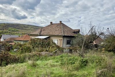 Casa de vanzare in Sanpetru Alma?ului, Hida, jud. Salaj-teren 7500 mp - 4
