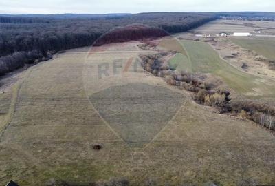 Teren agricol intravilan de 2592 mp, în Lipoveni - 12