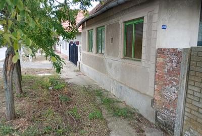 Teren de 5000 mp, în Ghilad - 3