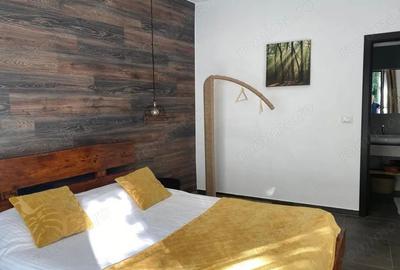 Casa Lux Mediteraniana cu 1820 mp. teren mobilata utilata CETATE cazare pensiune - 14