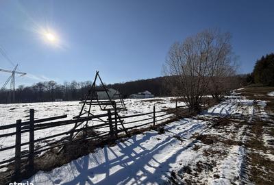 Spațiu comercial, în Secăria - 13
