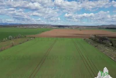 Vanzare Teren intravilan 24611 mp, Ideal retail, logistica, birouri - 1