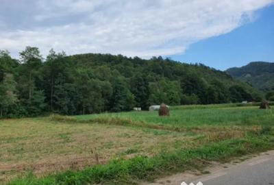 Teren de 1440 mp, în Băița - 1