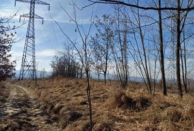 Teren de 17265 mp, în Marginea - 7