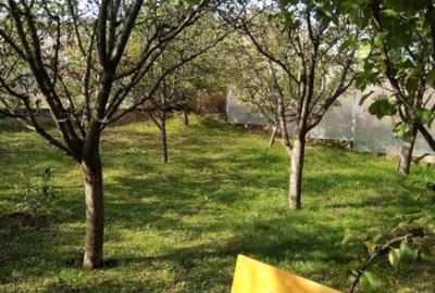 Teren intravilan 500 mp Rediu la 150 ml de soseaua principal - 1