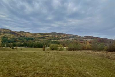 Teren la padure, panoramic dealuri si paduri, curent si asfalt Teren la padure, panoramic dealuri si paduri, curent si asfalt - 3