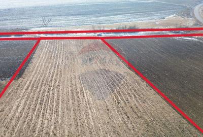 Teren pentru cabana 7.000mp in Hoghilag, Taramul Tubero... - 6