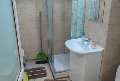 Garsonieră decomandată în Noua - 4