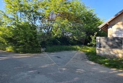 Teren Construcții intravilan de 9458 mp, în Cornești - 3