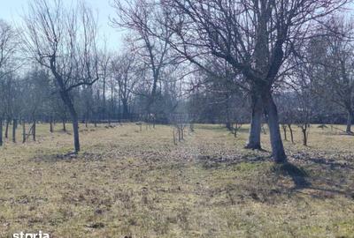 Teren de 400 mp, în Domnești - 2