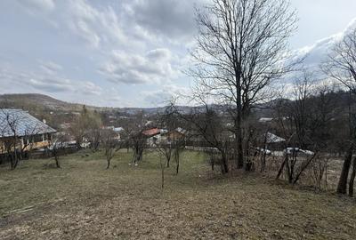 Teren Construcții intravilan de 6040 mp, în Drăgăneasa - 2