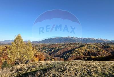 Oportunitate de investitie ! Teren de vis in Pestera - ... - 3