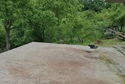 Superba casa cu teren ,garaj !! - 2