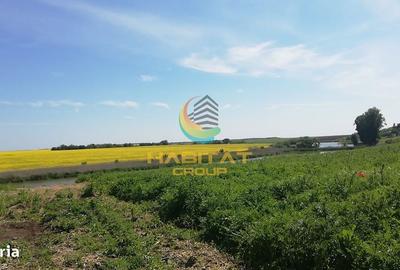 Spațiu comercial, în Frumușani - 3