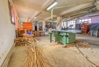 Spațiu industrial, de 1,473 mp, în Tulgheș - 10