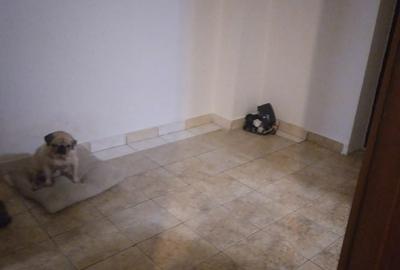 Garsonieră decomandată în Rahova