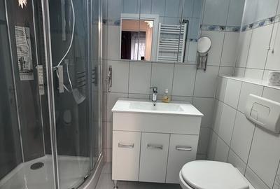 Apartament cu 2 camere decomandat, mobilat în Tei - 8