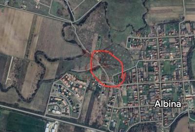 Teren investiție 3.144 mp - Moșnița Nouă, utilități aproape - 2